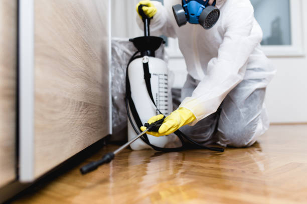 Pest Control Cost in Highland Park, TX