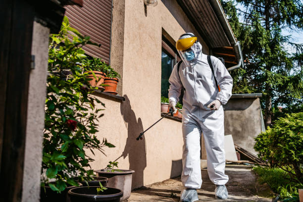 Trusted Highland Park, TX Pest Control Experts