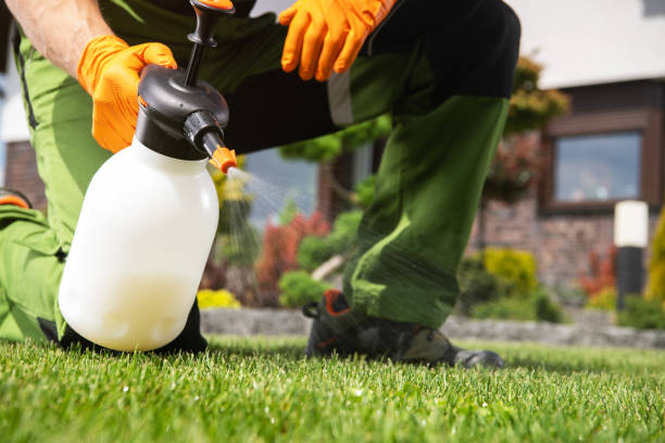Best Commercial Pest Control Services  in Highland Park, TX