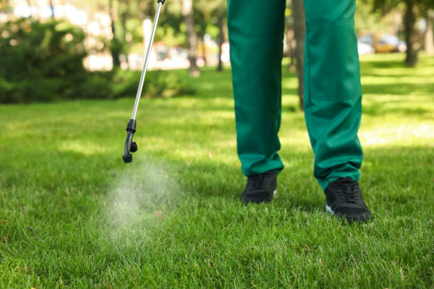 Trusted Highland Park, TX Pest Control Experts