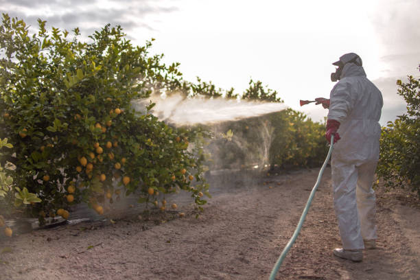Best Best Pest Control Companies  in Highland Park, TX