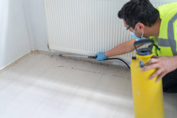 Best Pest Control for Homes  in Highland Park, TX